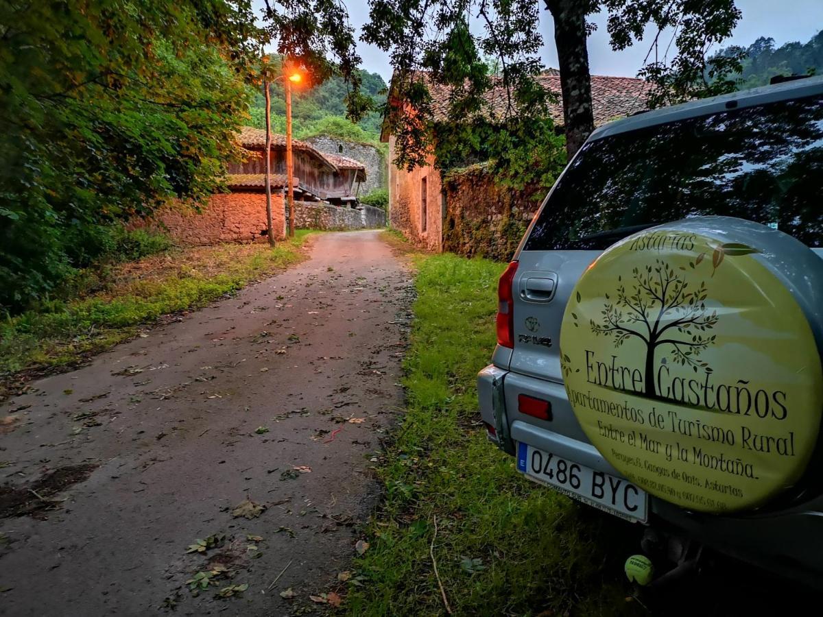 Casas Rurales Entrecastanos Кангас-де-Оніс Екстер'єр фото